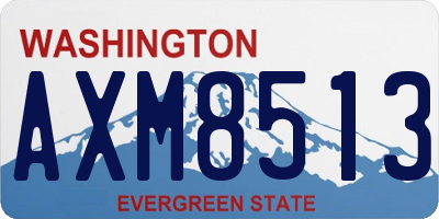 WA license plate AXM8513