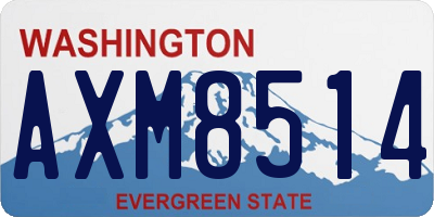 WA license plate AXM8514