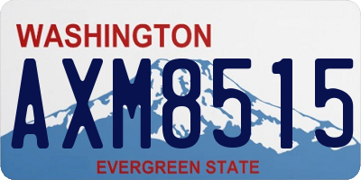 WA license plate AXM8515
