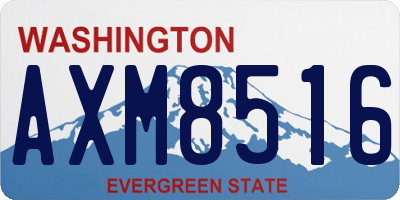 WA license plate AXM8516