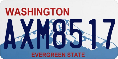 WA license plate AXM8517