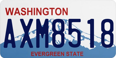 WA license plate AXM8518