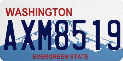 WA license plate AXM8519