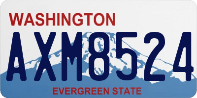 WA license plate AXM8524