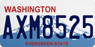 WA license plate AXM8525