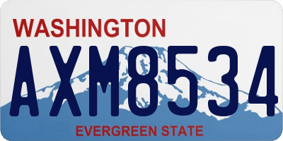 WA license plate AXM8534