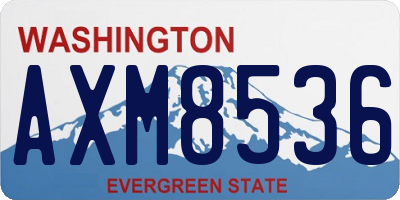 WA license plate AXM8536