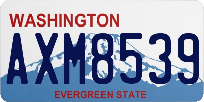 WA license plate AXM8539