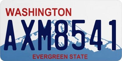WA license plate AXM8541