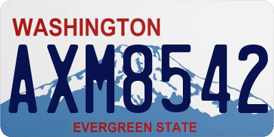 WA license plate AXM8542