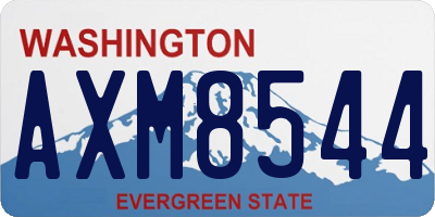 WA license plate AXM8544