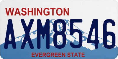 WA license plate AXM8546