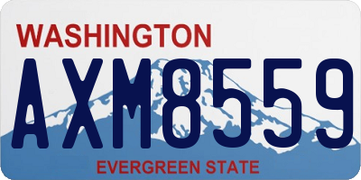 WA license plate AXM8559