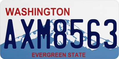 WA license plate AXM8563