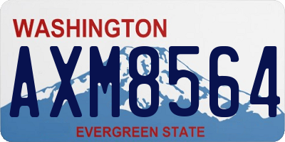WA license plate AXM8564