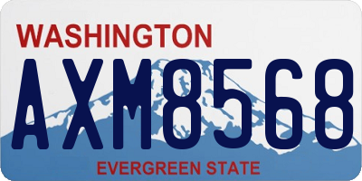 WA license plate AXM8568