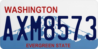 WA license plate AXM8573