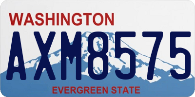 WA license plate AXM8575