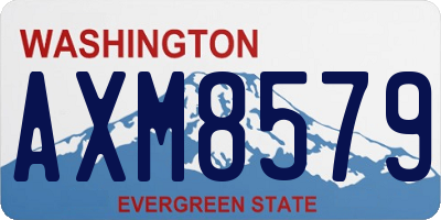 WA license plate AXM8579