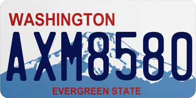 WA license plate AXM8580