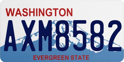 WA license plate AXM8582