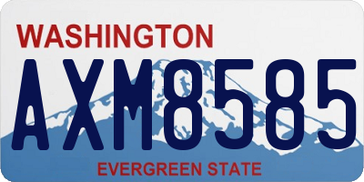 WA license plate AXM8585