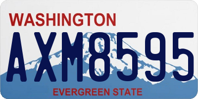 WA license plate AXM8595