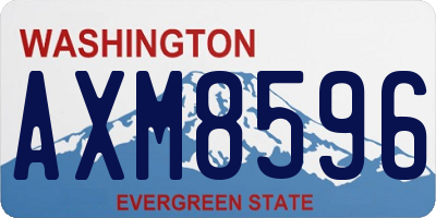 WA license plate AXM8596