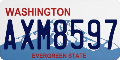 WA license plate AXM8597