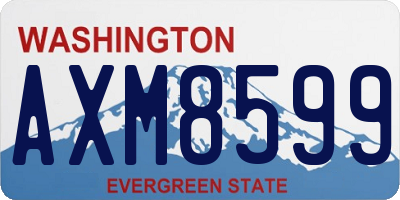 WA license plate AXM8599