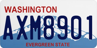 WA license plate AXM8901