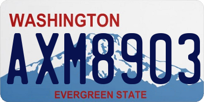WA license plate AXM8903
