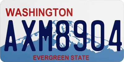 WA license plate AXM8904