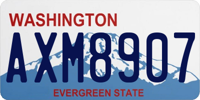 WA license plate AXM8907