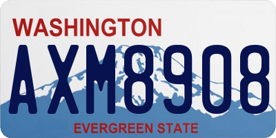 WA license plate AXM8908