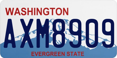 WA license plate AXM8909