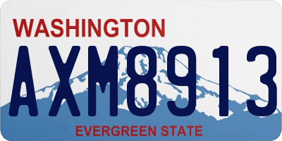 WA license plate AXM8913