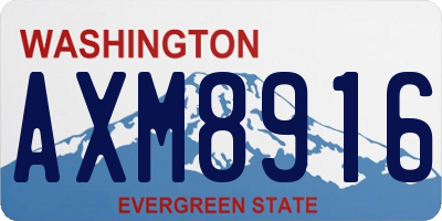WA license plate AXM8916