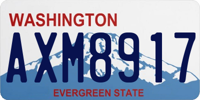 WA license plate AXM8917