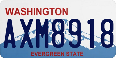 WA license plate AXM8918