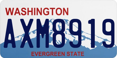 WA license plate AXM8919