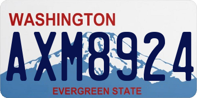 WA license plate AXM8924
