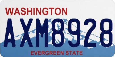 WA license plate AXM8928