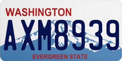 WA license plate AXM8939