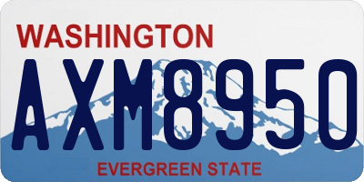 WA license plate AXM8950