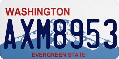 WA license plate AXM8953