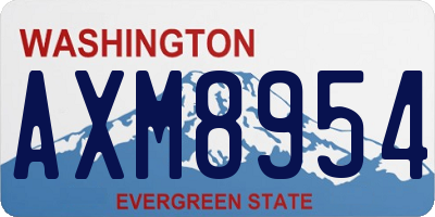 WA license plate AXM8954
