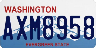WA license plate AXM8958