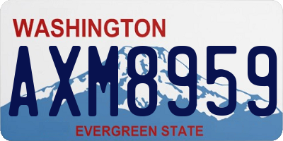 WA license plate AXM8959