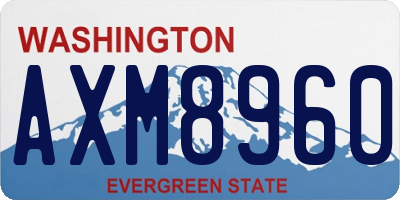 WA license plate AXM8960